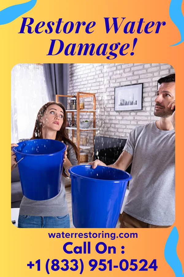 water restoration Vigilant Water Damage Masters Argenta