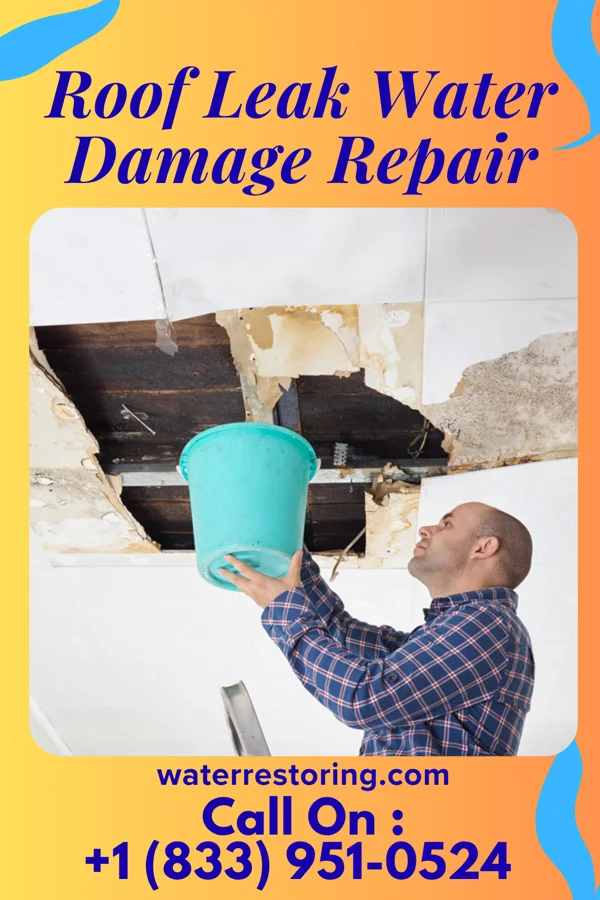 Roof Leak Water Damage Repair in Argenta, IL